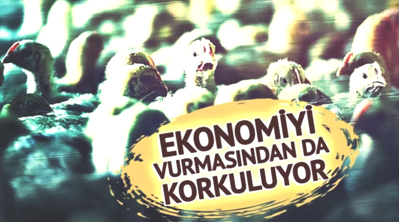 Avrupa'da Yeni Salgın Alarmı! Vakalar Patladı, İki Ülke Harekete Geçti!